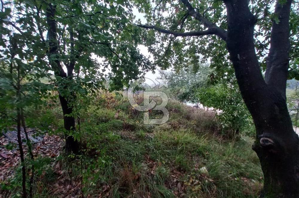 KARTEPE SARIMEŞE'DE %40 İMARLI SATILIK ARSA CB TOWER