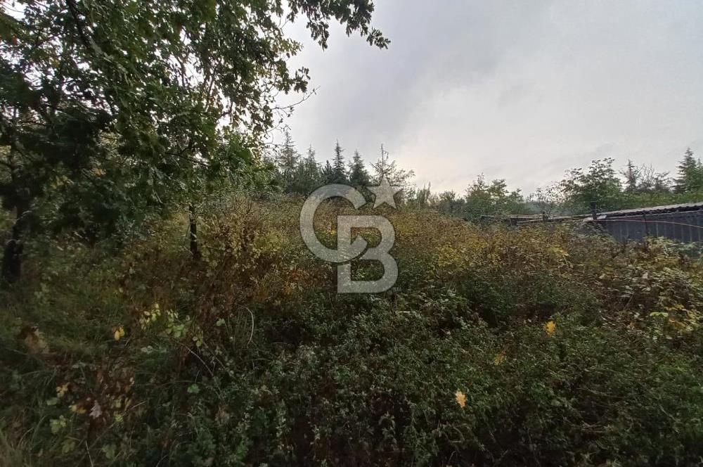 KARTEPE SARIMEŞE'DE %40 İMARLI SATILIK ARSA CB TOWER