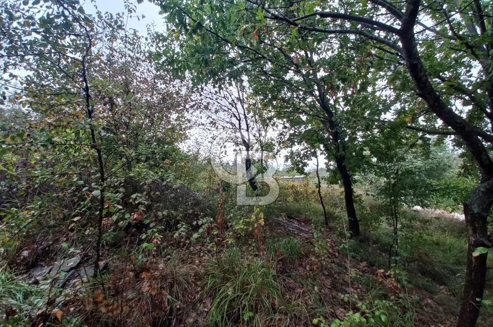 KARTEPE SARIMEŞE'DE %40 İMARLI SATILIK ARSA CB TOWER
