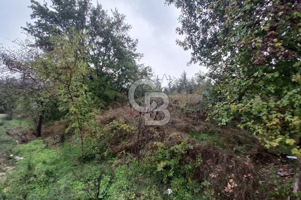 KARTEPE SARIMEŞE'DE %40 İMARLI SATILIK ARSA CB TOWER