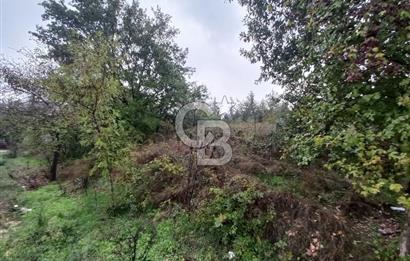 KARTEPE SARIMEŞE'DE %40 İMARLI SATILIK ARSA CB TOWER
