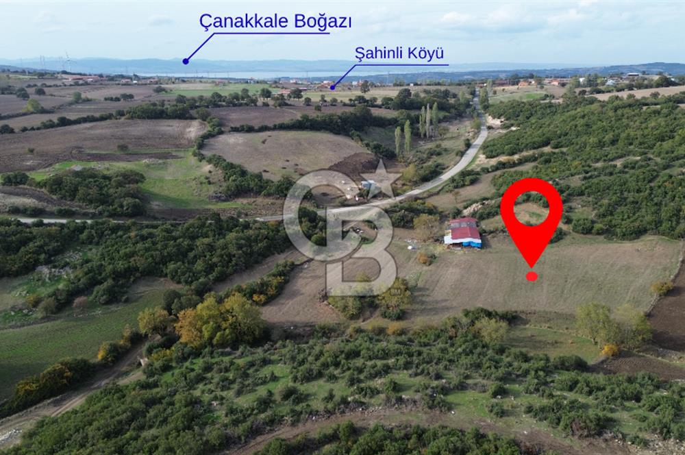 ÇANAKKALE LAPSEKİ ŞAHİNLİ KÖYÜNDE SATILIK TARLA