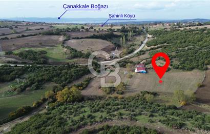 ÇANAKKALE LAPSEKİ ŞAHİNLİ KÖYÜNDE SATILIK TARLA
