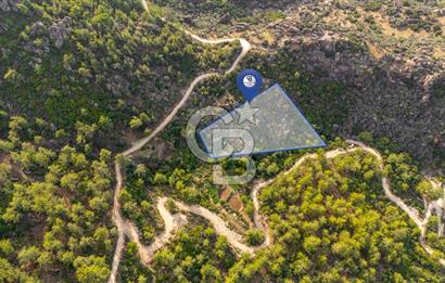 CB MARİNA'DAN İNCEKEMER'DE YATIRIMLIK SATILIK ZEYTİNLİK