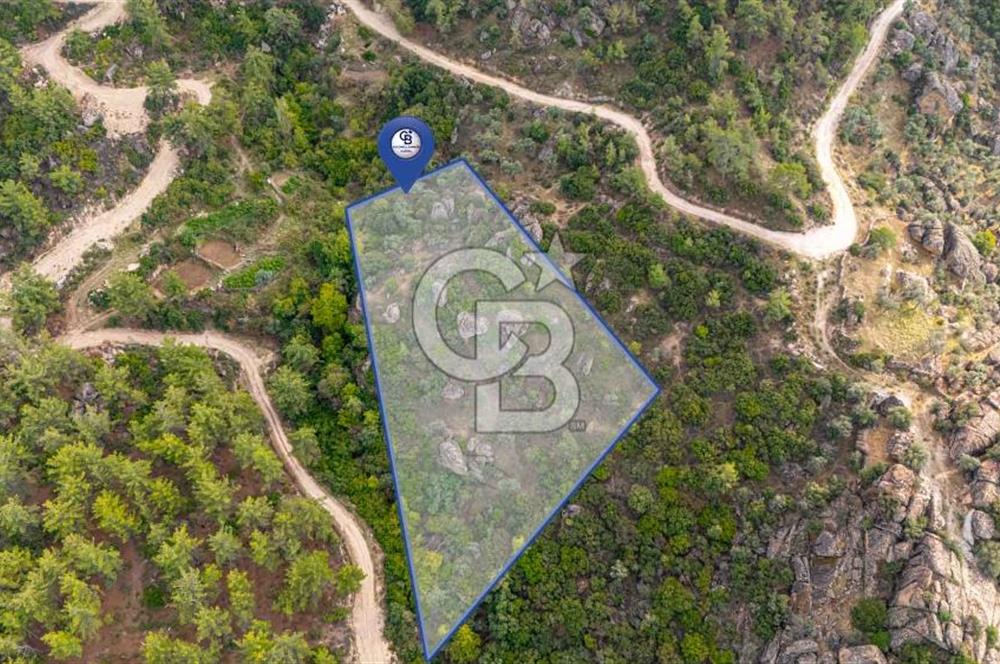 CB MARİNA'DAN İNCEKEMER'DE YATIRIMLIK SATILIK ZEYTİNLİK