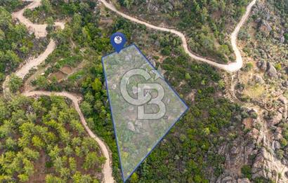 CB MARİNA'DAN İNCEKEMER'DE YATIRIMLIK SATILIK ZEYTİNLİK