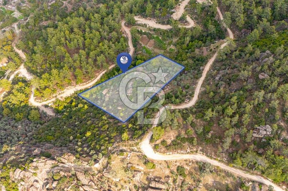 CB MARİNA'DAN İNCEKEMER'DE YATIRIMLIK SATILIK ZEYTİNLİK