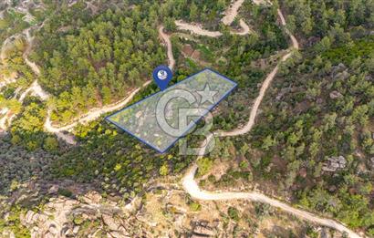 CB MARİNA'DAN İNCEKEMER'DE YATIRIMLIK SATILIK ZEYTİNLİK