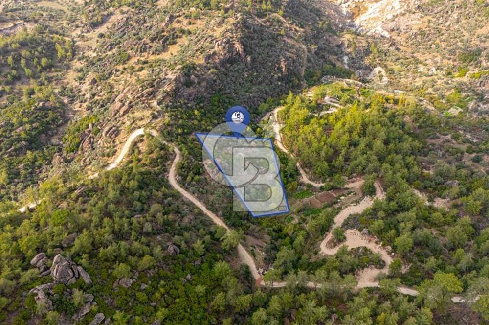 CB MARİNA'DAN İNCEKEMER'DE YATIRIMLIK SATILIK ZEYTİNLİK