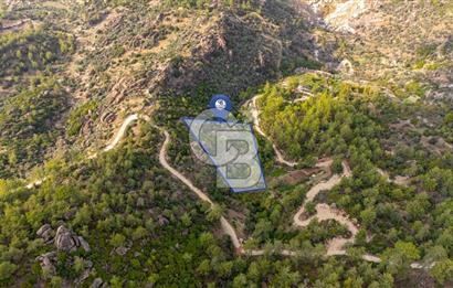 CB MARİNA'DAN İNCEKEMER'DE YATIRIMLIK SATILIK ZEYTİNLİK