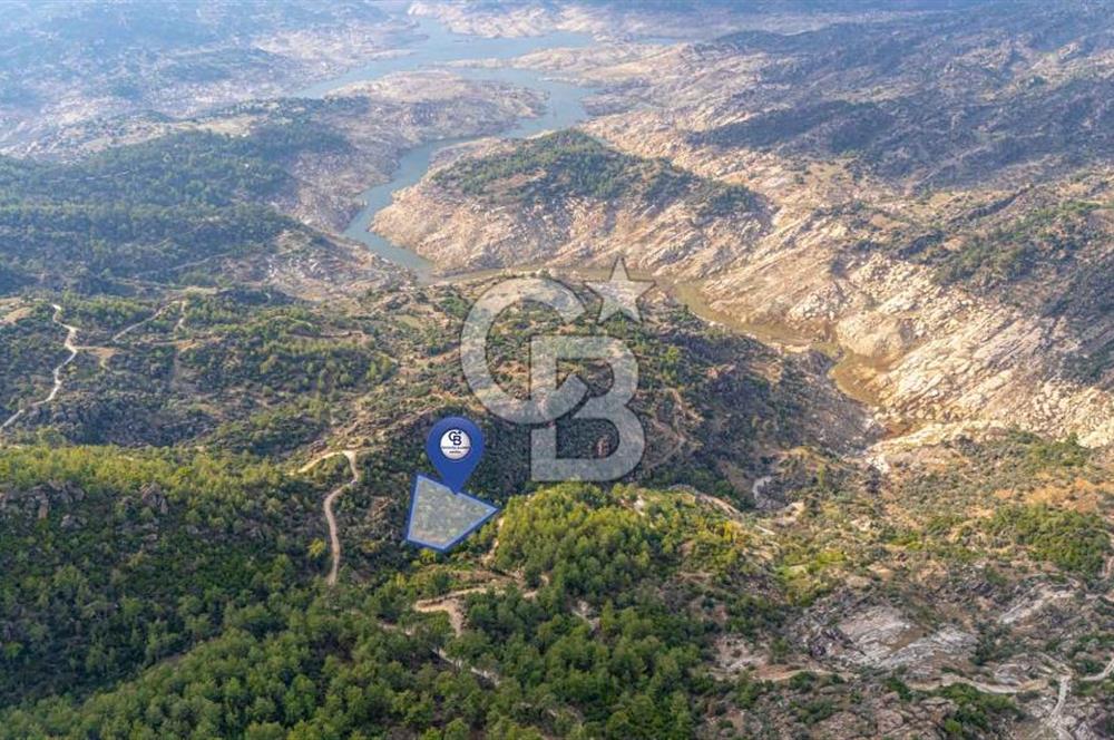 CB MARİNA'DAN İNCEKEMER'DE YATIRIMLIK SATILIK ZEYTİNLİK