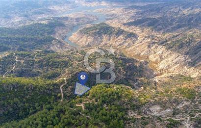 CB MARİNA'DAN İNCEKEMER'DE YATIRIMLIK SATILIK ZEYTİNLİK