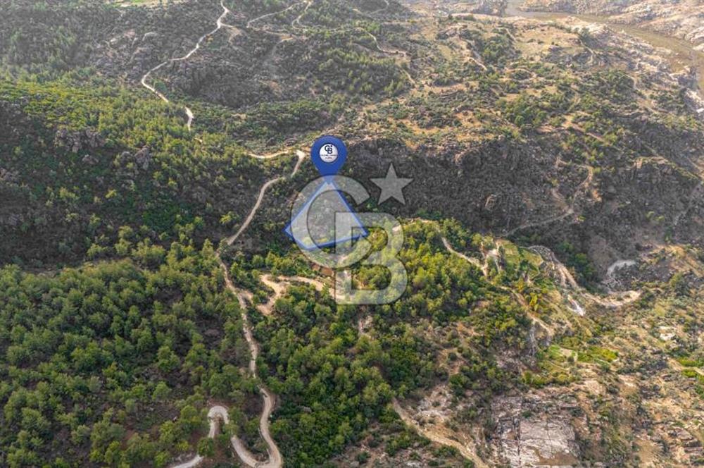 CB MARİNA'DAN İNCEKEMER'DE YATIRIMLIK SATILIK ZEYTİNLİK