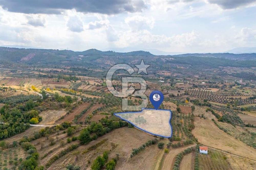 CB MARİNA'DAN KADIKÖY'DE TİNY HOUSE YAPIMINA UYGUN SATILIK TARLA