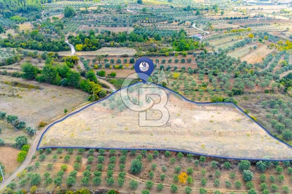 CB MARİNA'DAN KADIKÖY'DE TİNY HOUSE YAPIMINA UYGUN SATILIK TARLA