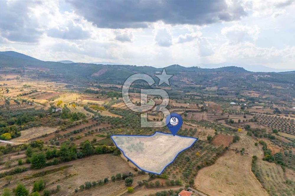 CB MARİNA'DAN KADIKÖY'DE TİNY HOUSE YAPIMINA UYGUN SATILIK TARLA
