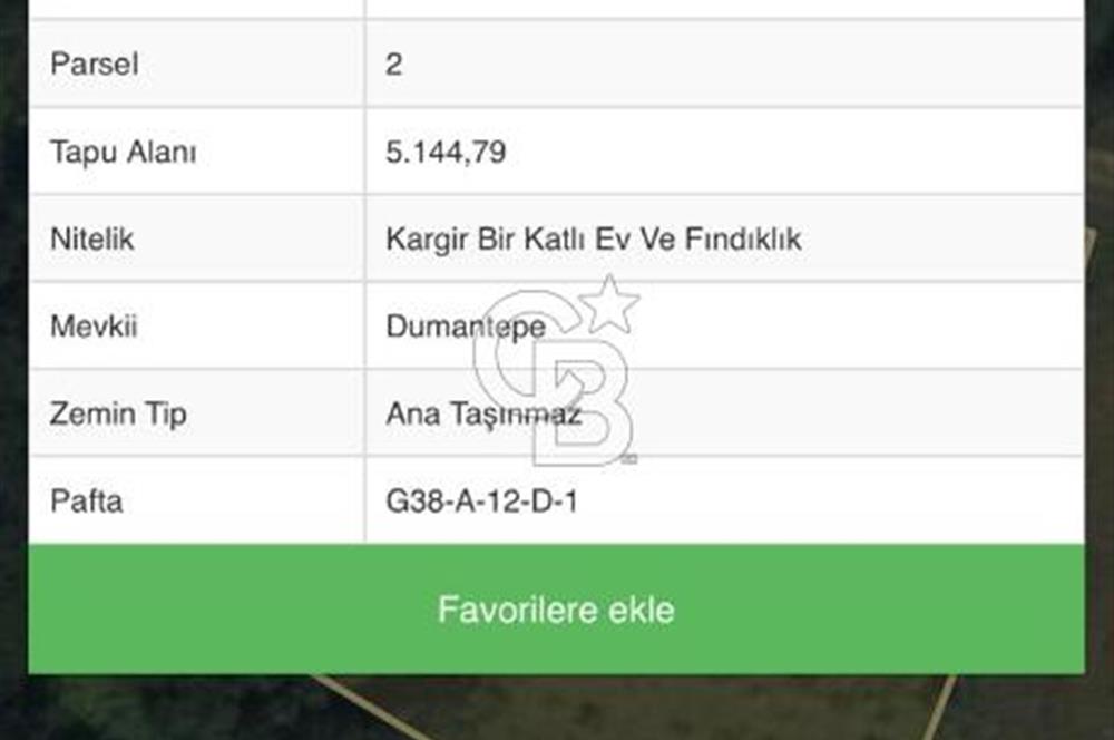 ORDU AKKUŞ'DA SATILIK FINDIKLIK