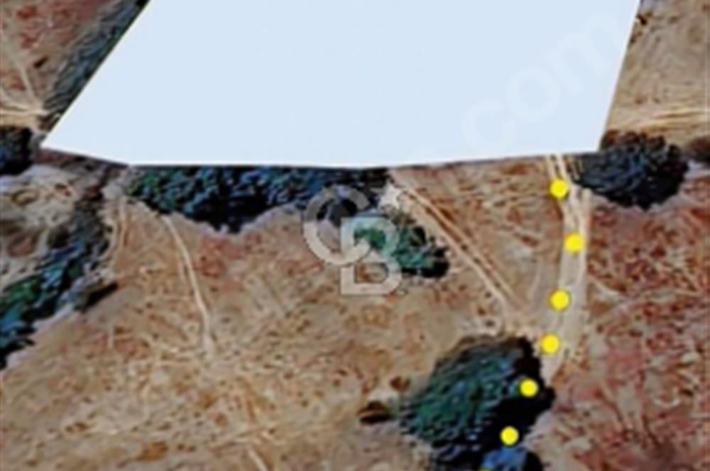 Balıkesir/Dursunbey "Yassıören'de"2644m2 köy dibinde süper arazi