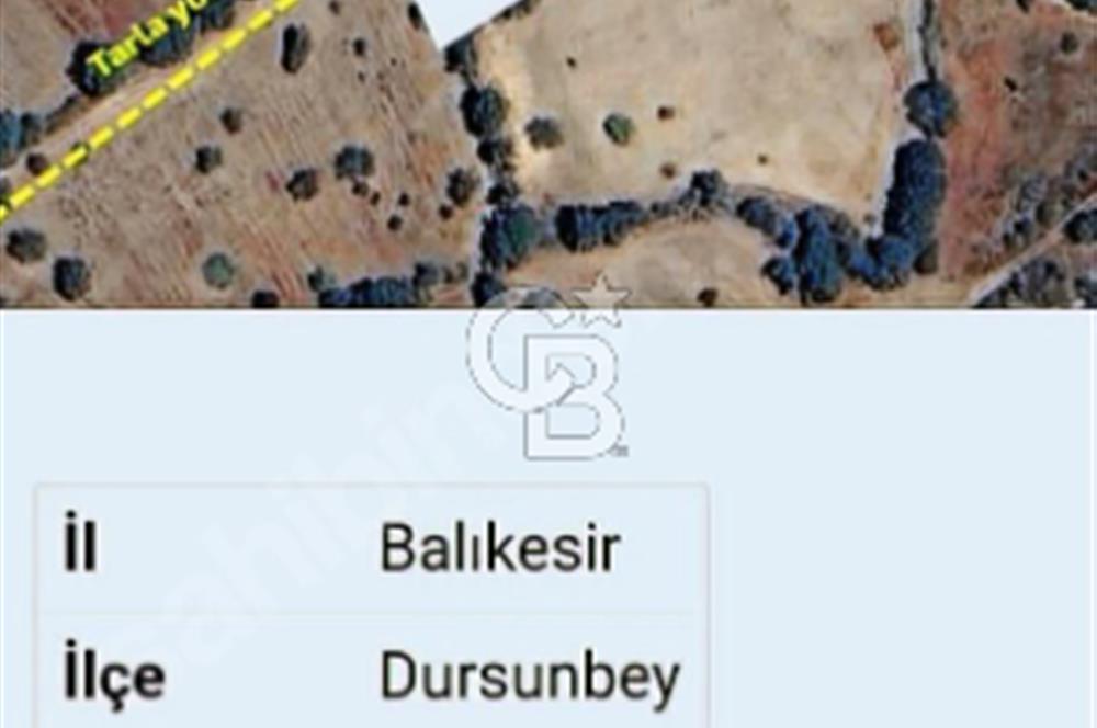 Balıkesir/Dursunbey "Yassıören'de"2644m2 köy dibinde süper arazi