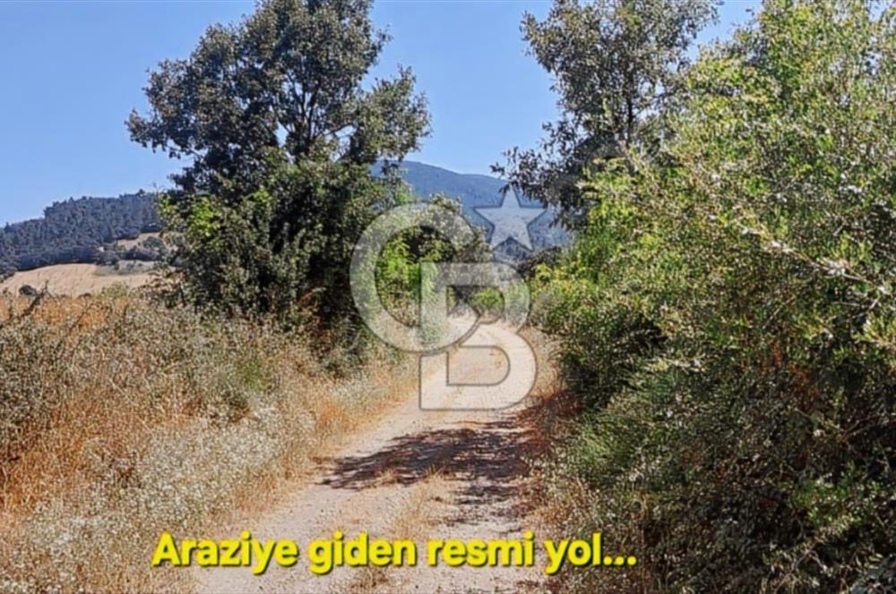 LAPSEKİ KÖPRÜ GÜZERGAHI"DONDURMA KÖYÜ'NDE"25 DÖNÜM SÜPER ARAZİ.