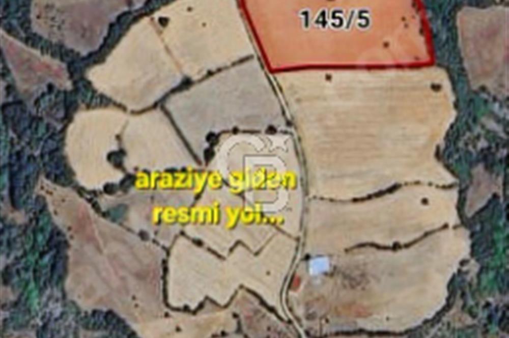 LAPSEKİ KÖPRÜ GÜZERGAHI"DONDURMA KÖYÜ'NDE"25 DÖNÜM SÜPER ARAZİ.