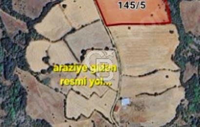 LAPSEKİ KÖPRÜ GÜZERGAHI"DONDURMA KÖYÜ'NDE"25 DÖNÜM SÜPER ARAZİ.