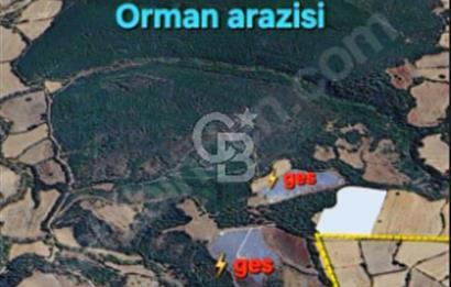 LAPSEKİ KÖPRÜ GÜZERGAHI"DONDURMA KÖYÜ'NDE"25 DÖNÜM SÜPER ARAZİ.
