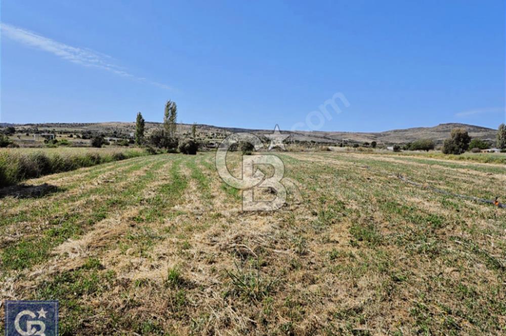 AYVACIK/ TUZLA-GÜLPINAR ASFALTINA CEPHE 10.536M2 SÜPER ARAZİ