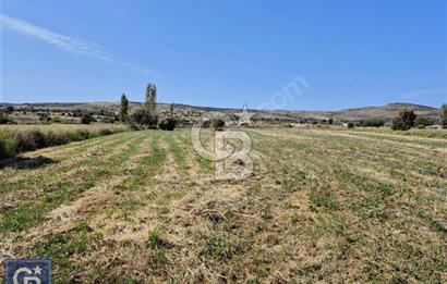 AYVACIK/ TUZLA-GÜLPINAR ASFALTINA CEPHE 10.536M2 SÜPER ARAZİ