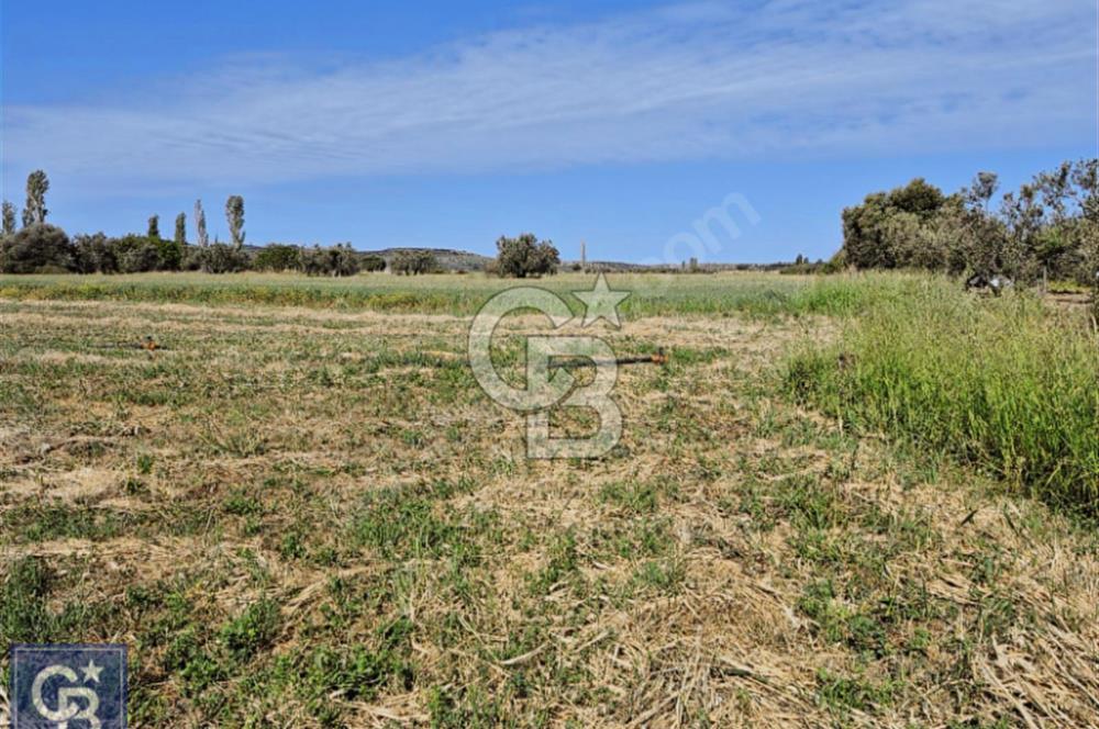 AYVACIK/ TUZLA-GÜLPINAR ASFALTINA CEPHE 10.536M2 SÜPER ARAZİ