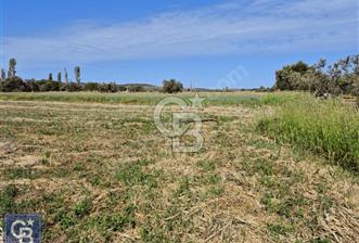AYVACIK/ TUZLA-GÜLPINAR ASFALTINA CEPHE 10.536M2 SÜPER ARAZİ