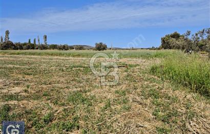 AYVACIK/ TUZLA-GÜLPINAR ASFALTINA CEPHE 10.536M2 SÜPER ARAZİ