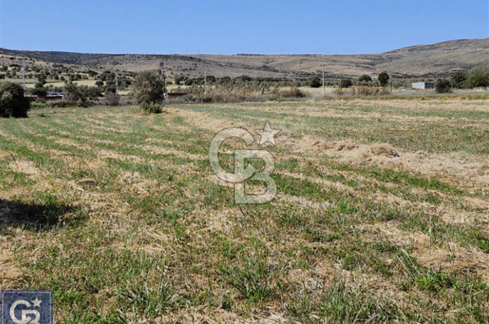 AYVACIK/ TUZLA-GÜLPINAR ASFALTINA CEPHE 10.536M2 SÜPER ARAZİ