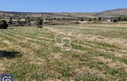 AYVACIK/ TUZLA-GÜLPINAR ASFALTINA CEPHE 10.536M2 SÜPER ARAZİ