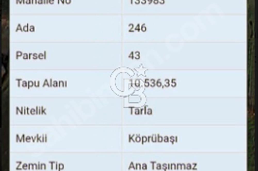 AYVACIK/ TUZLA-GÜLPINAR ASFALTINA CEPHE 10.536M2 SÜPER ARAZİ