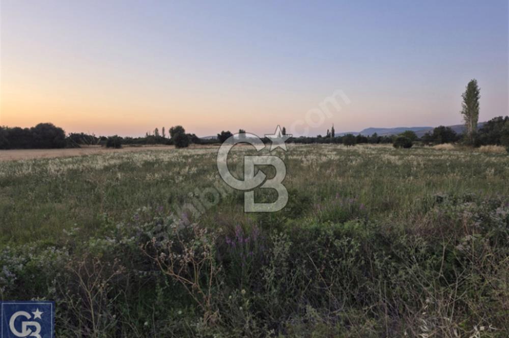 AYVACIK/ TUZLA-GÜLPINAR ASFALTINA CEPHE 10.536M2 SÜPER ARAZİ