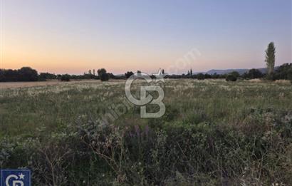 AYVACIK/ TUZLA-GÜLPINAR ASFALTINA CEPHE 10.536M2 SÜPER ARAZİ