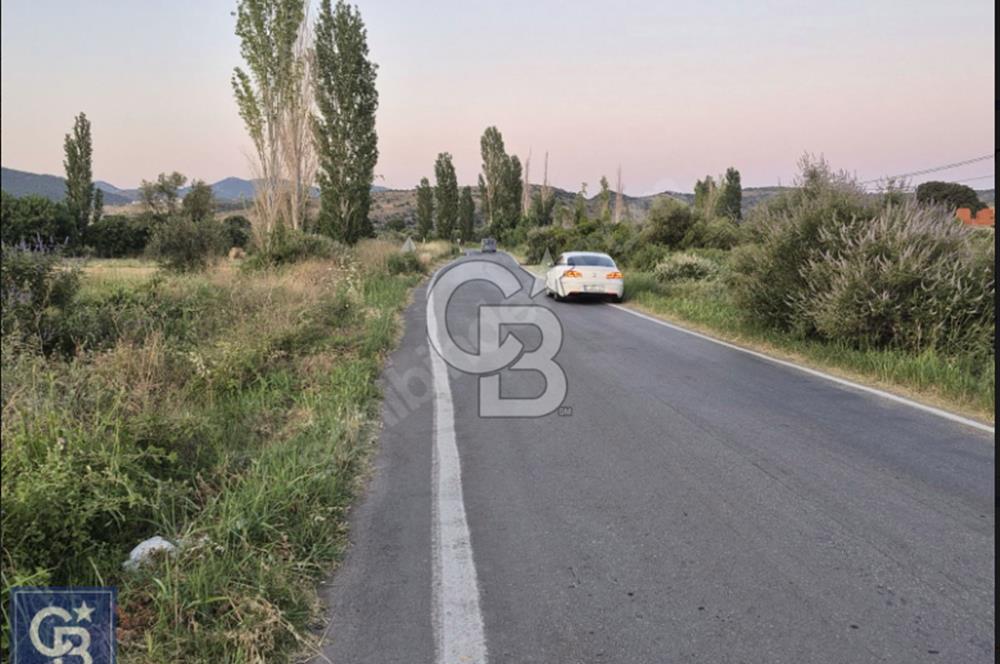 AYVACIK/ TUZLA-GÜLPINAR ASFALTINA CEPHE 10.536M2 SÜPER ARAZİ