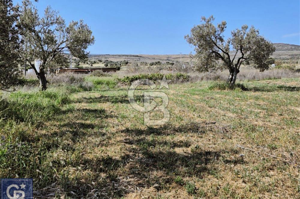 AYVACIK/ TUZLA-GÜLPINAR ASFALTINA CEPHE 10.536M2 SÜPER ARAZİ