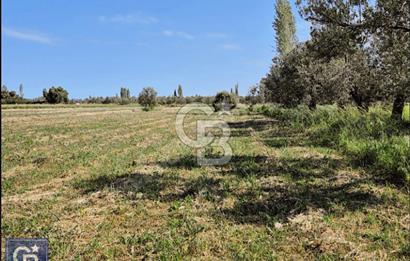 AYVACIK/ TUZLA-GÜLPINAR ASFALTINA CEPHE 10.536M2 SÜPER ARAZİ