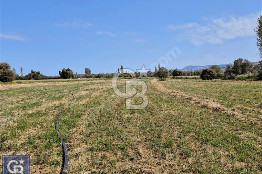 AYVACIK/ TUZLA-GÜLPINAR ASFALTINA CEPHE 10.536M2 SÜPER ARAZİ