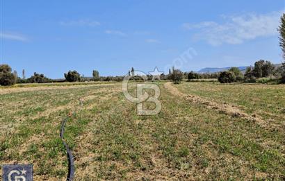 AYVACIK/ TUZLA-GÜLPINAR ASFALTINA CEPHE 10.536M2 SÜPER ARAZİ