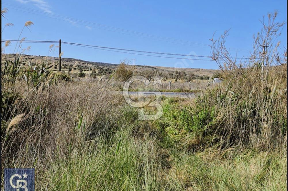 AYVACIK/ TUZLA-GÜLPINAR ASFALTINA CEPHE 10.536M2 SÜPER ARAZİ