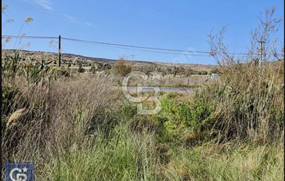 AYVACIK/ TUZLA-GÜLPINAR ASFALTINA CEPHE 10.536M2 SÜPER ARAZİ