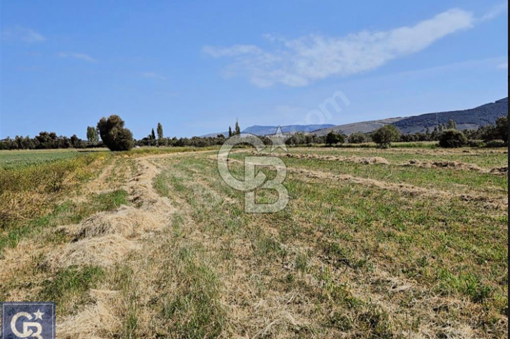 AYVACIK/ TUZLA-GÜLPINAR ASFALTINA CEPHE 10.536M2 SÜPER ARAZİ