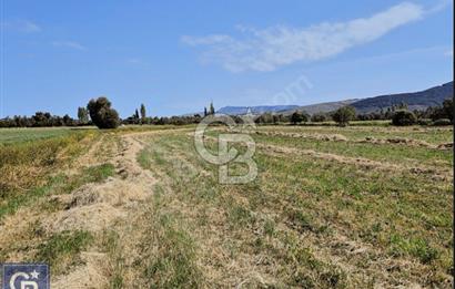 AYVACIK/ TUZLA-GÜLPINAR ASFALTINA CEPHE 10.536M2 SÜPER ARAZİ