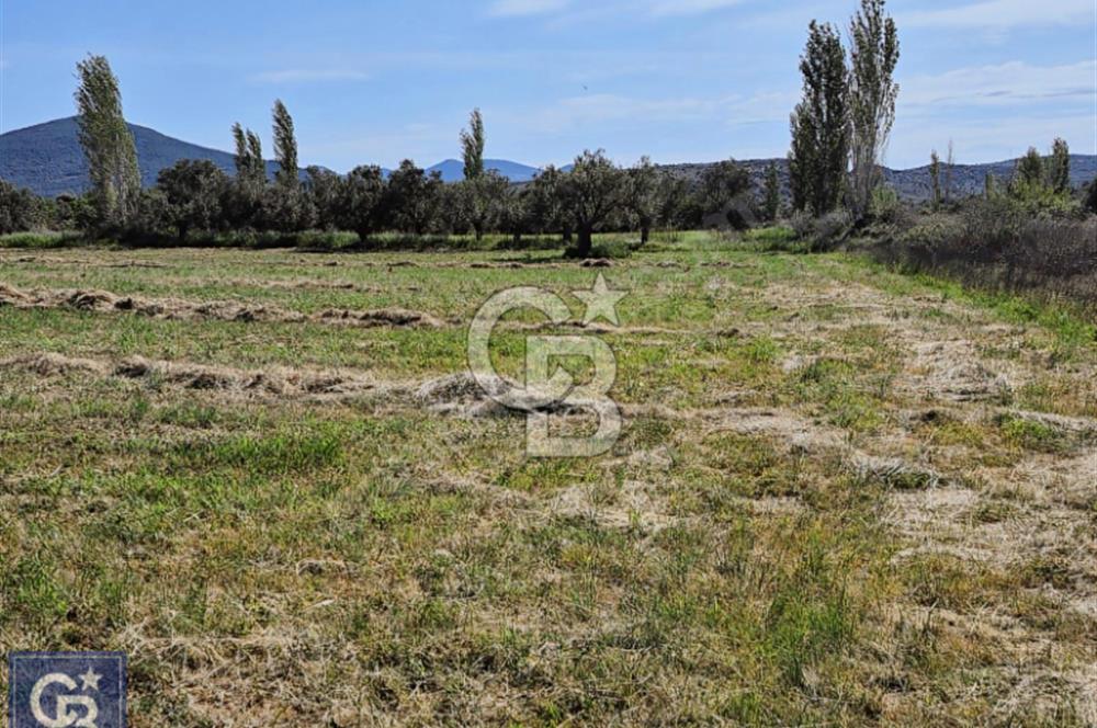 AYVACIK/ TUZLA-GÜLPINAR ASFALTINA CEPHE 10.536M2 SÜPER ARAZİ
