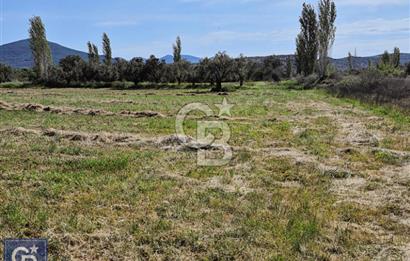 AYVACIK/ TUZLA-GÜLPINAR ASFALTINA CEPHE 10.536M2 SÜPER ARAZİ