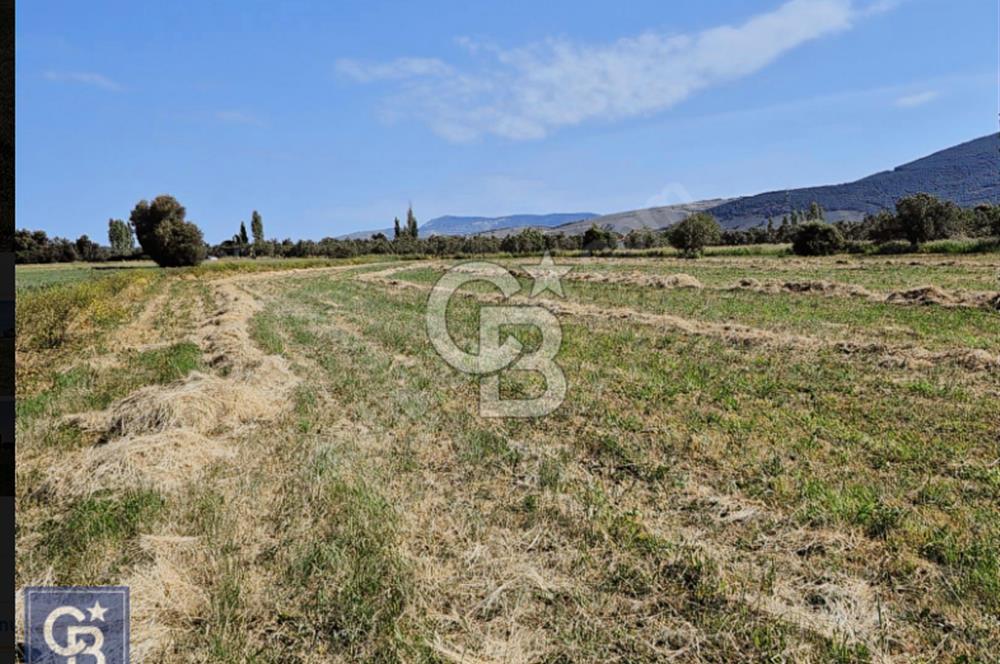 AYVACIK/ TUZLA-GÜLPINAR ASFALTINA CEPHE 10.536M2 SÜPER ARAZİ