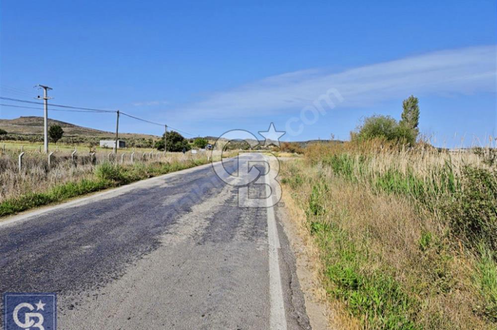 AYVACIK/ TUZLA-GÜLPINAR ASFALTINA CEPHE 10.536M2 SÜPER ARAZİ